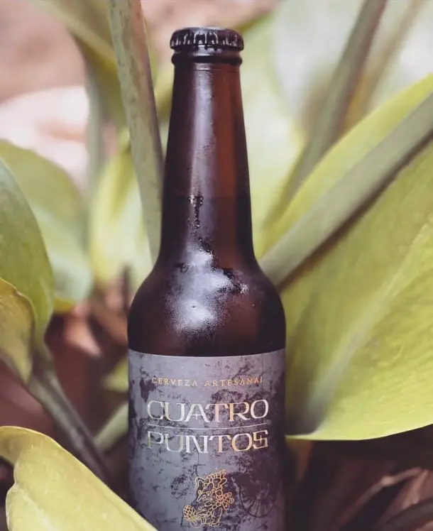 Botella Cuatro Puntos entre hojas tropicales